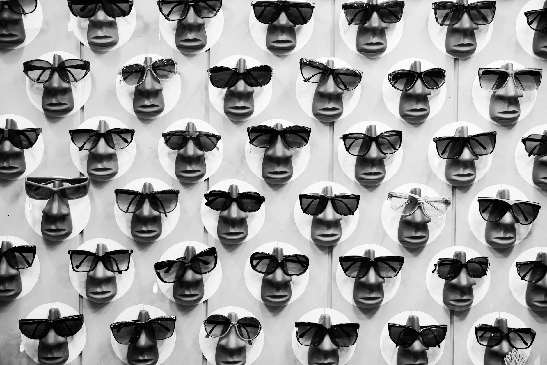 designer sunglasses collection