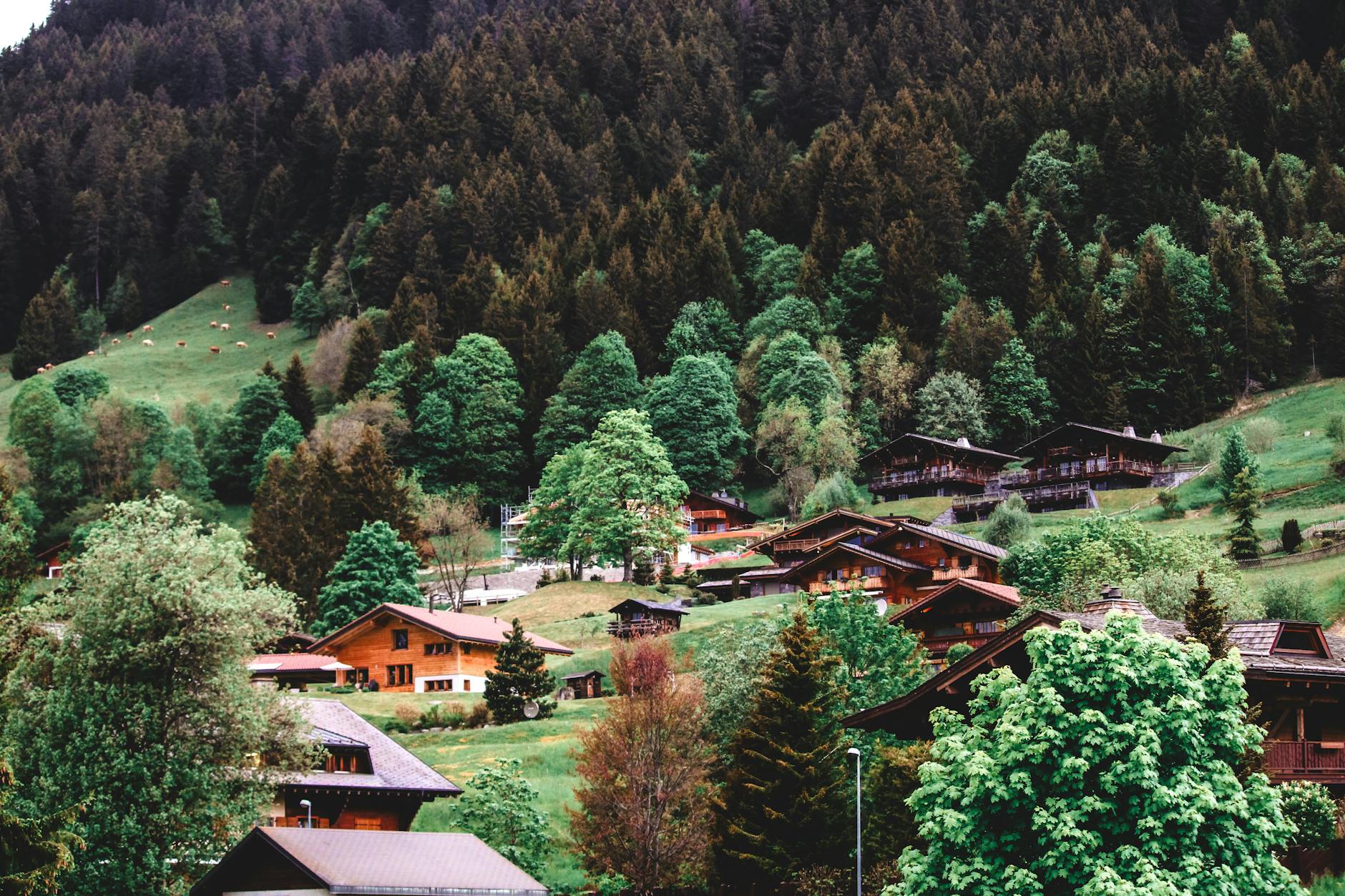 a peaceful village in the Swiss Alps with wooden chalets