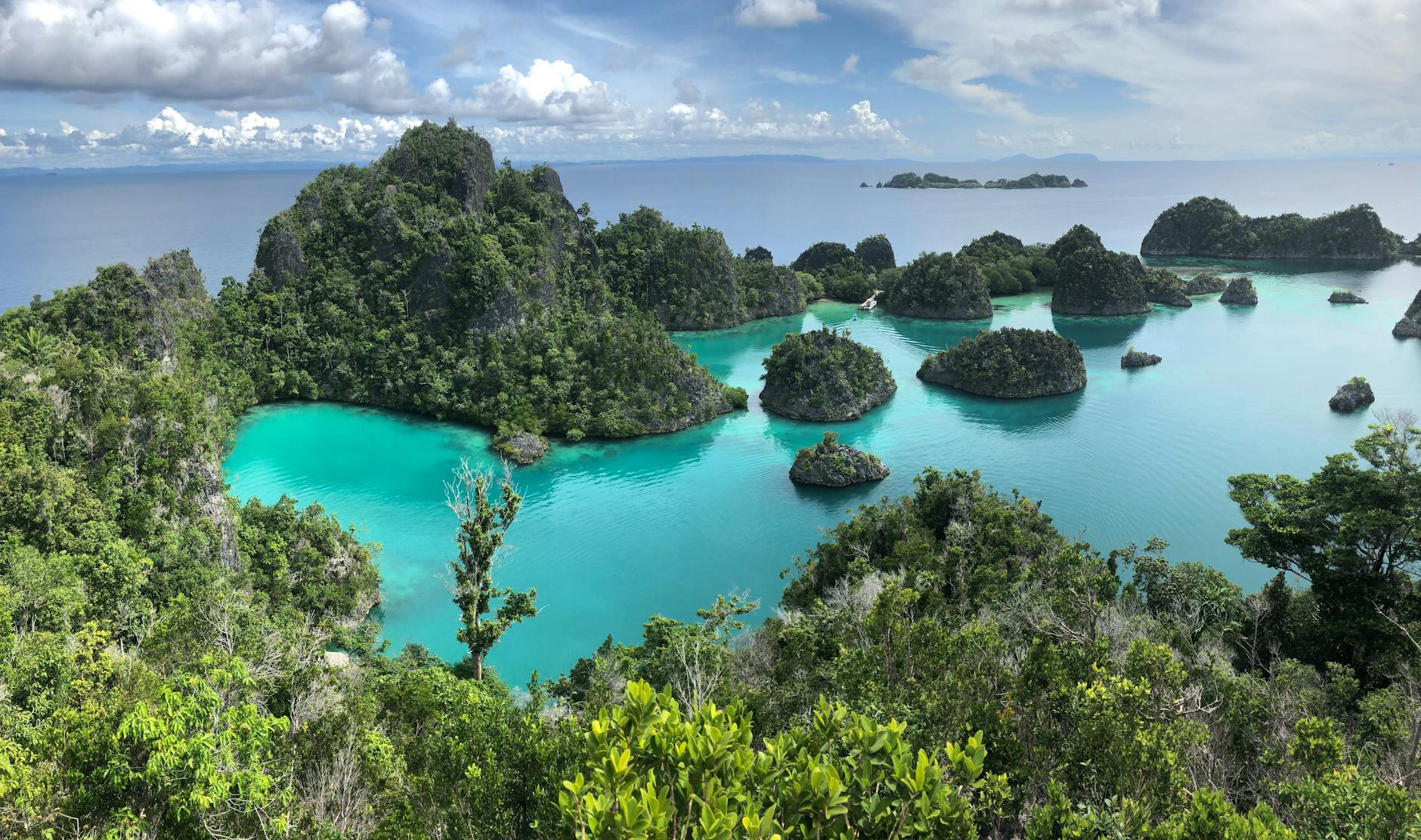 Raja Ampat diving with vibrant coral reefs
