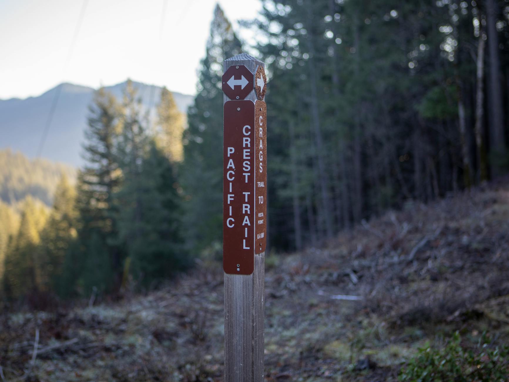 Pacific Crest Trail view of mountains