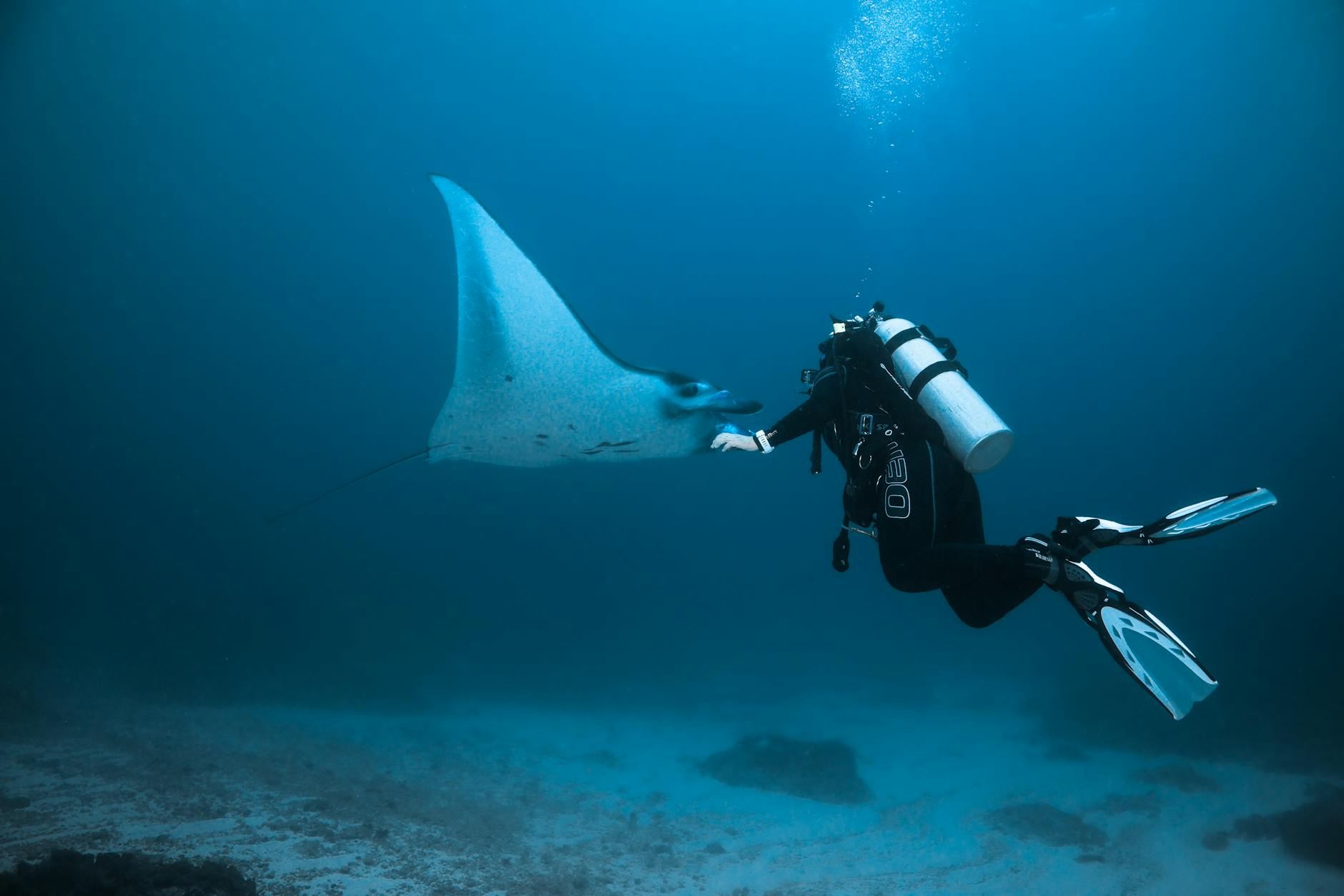 Manta Resort underwater hotel experience