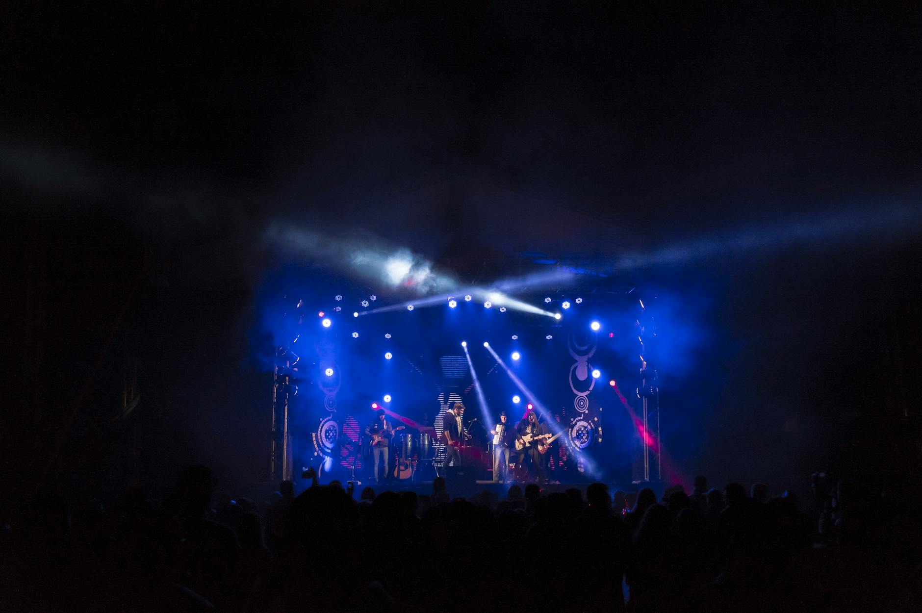 people enjoying a concert together