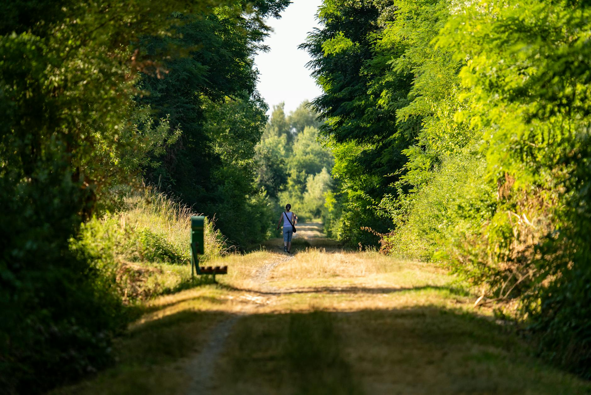 A calming environment showing a person walking in nature
