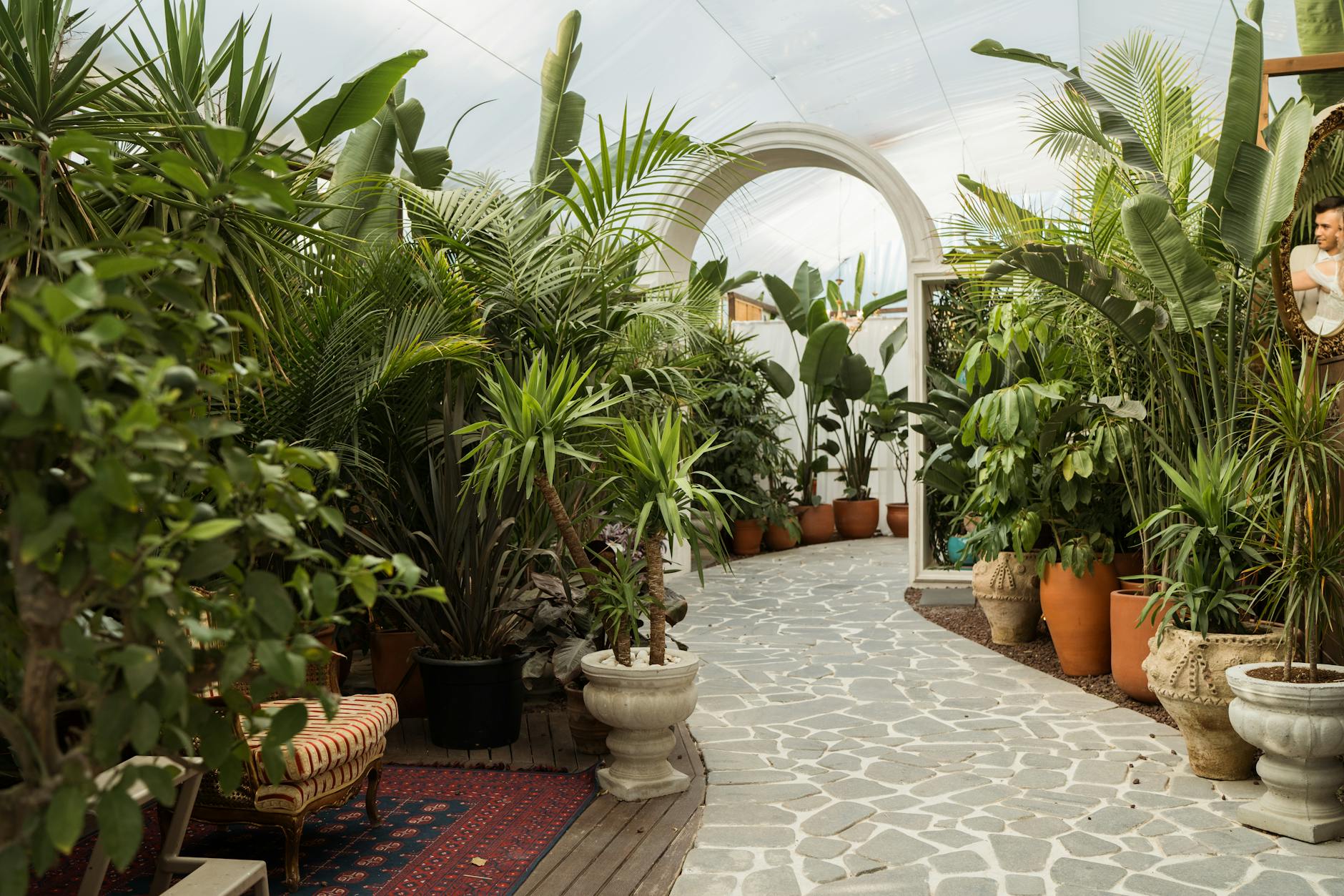hidden botanical garden with exotic plants