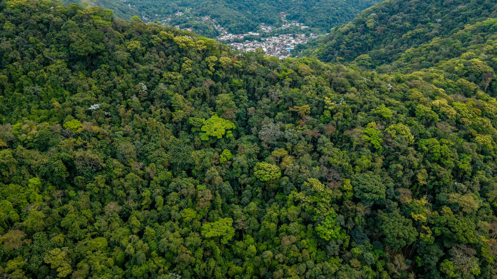 Google Earth view of South America, showcasing its diverse landscapes including mountains, rainforests, and cities.