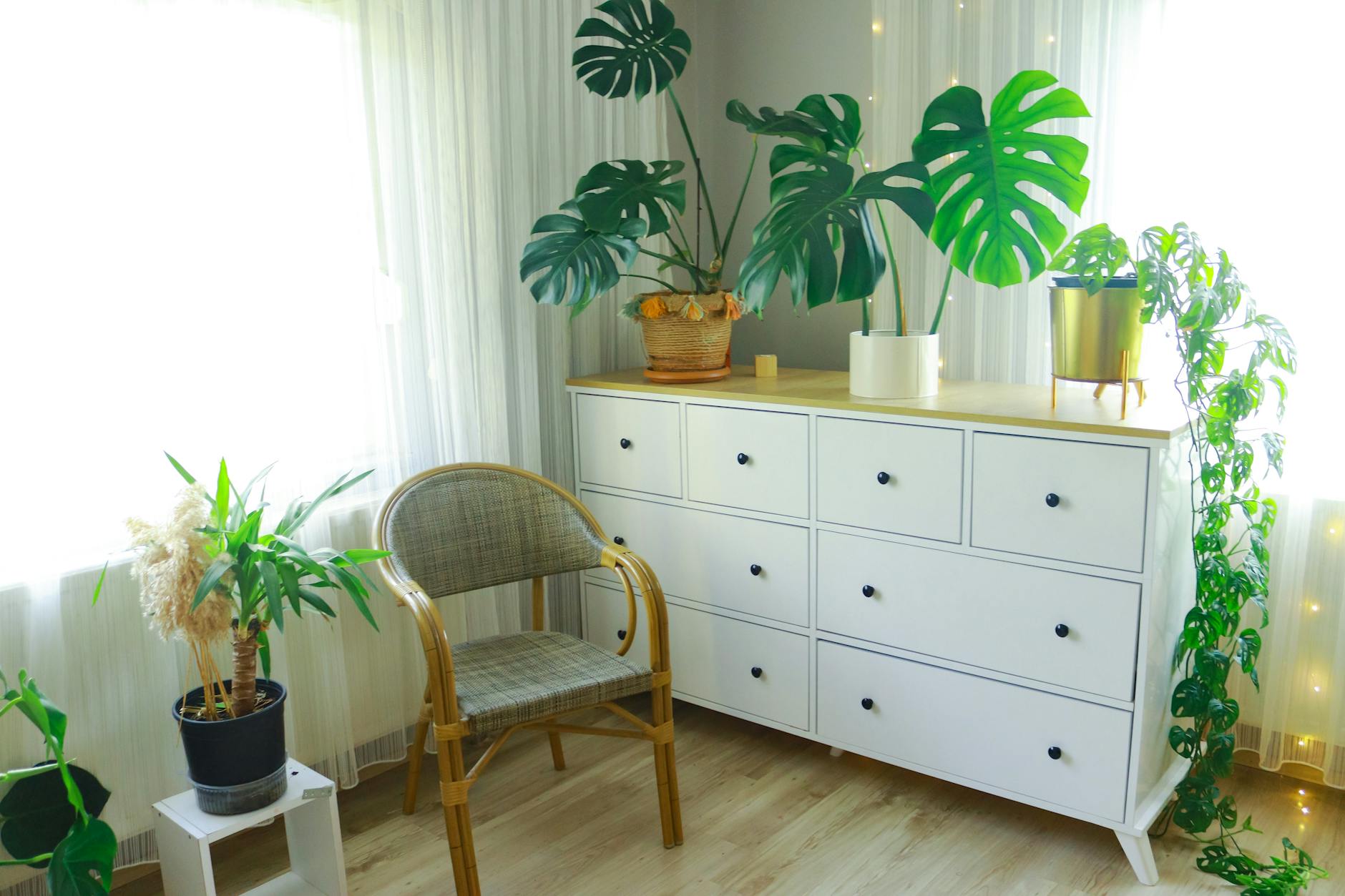 stylish living room with plants