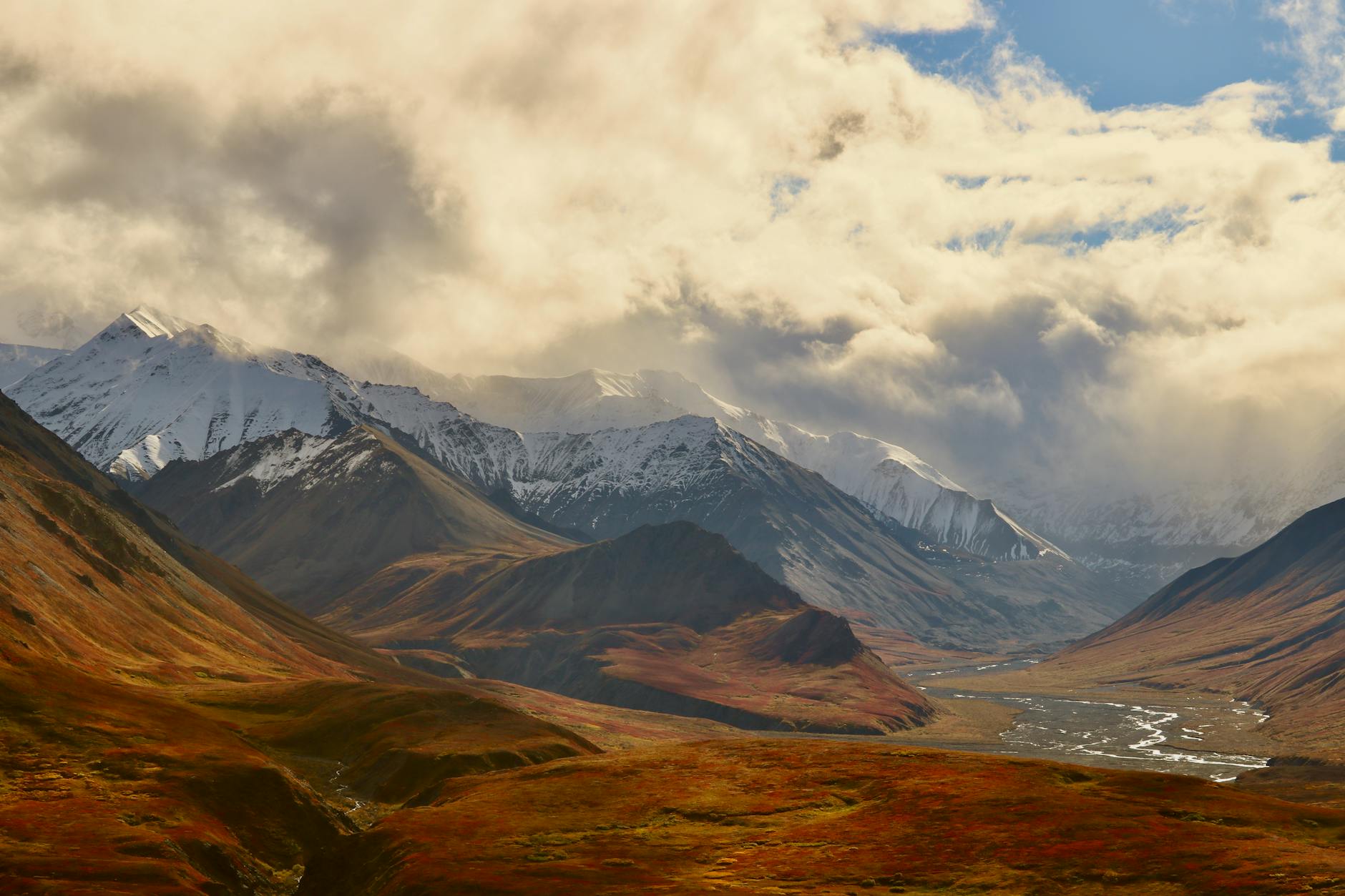 scenic flight over Denali National Park