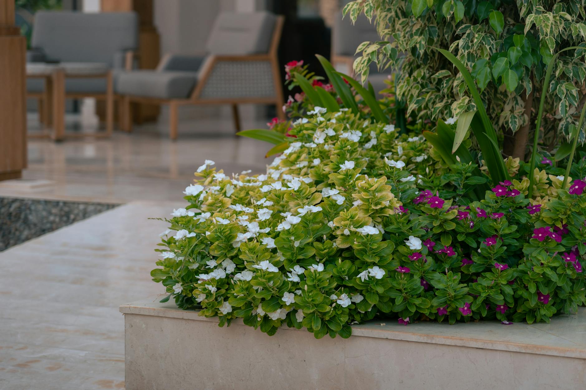 luxurious garden with diverse plants and outdoor seating