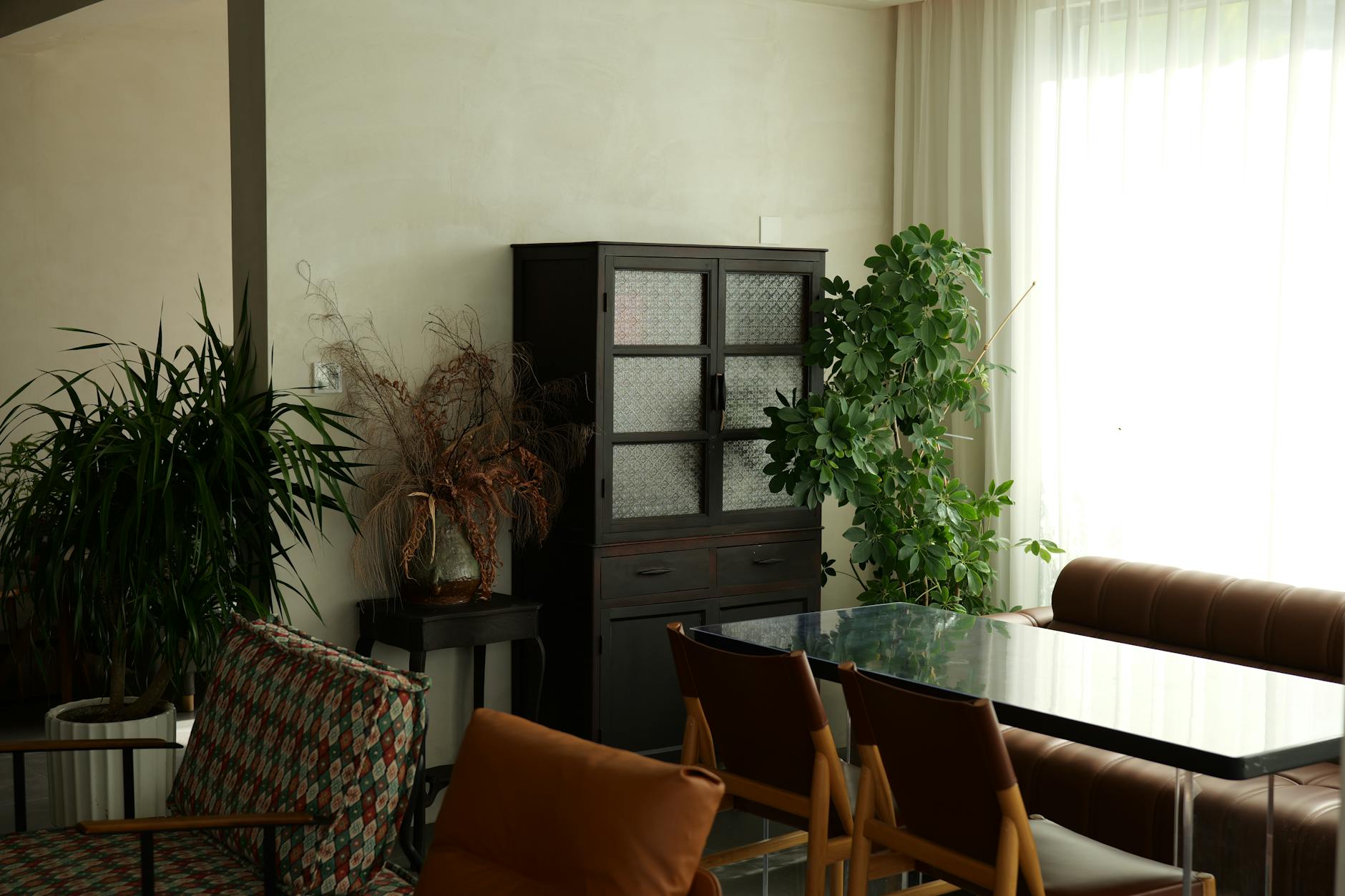 serene home interior with plants and natural light