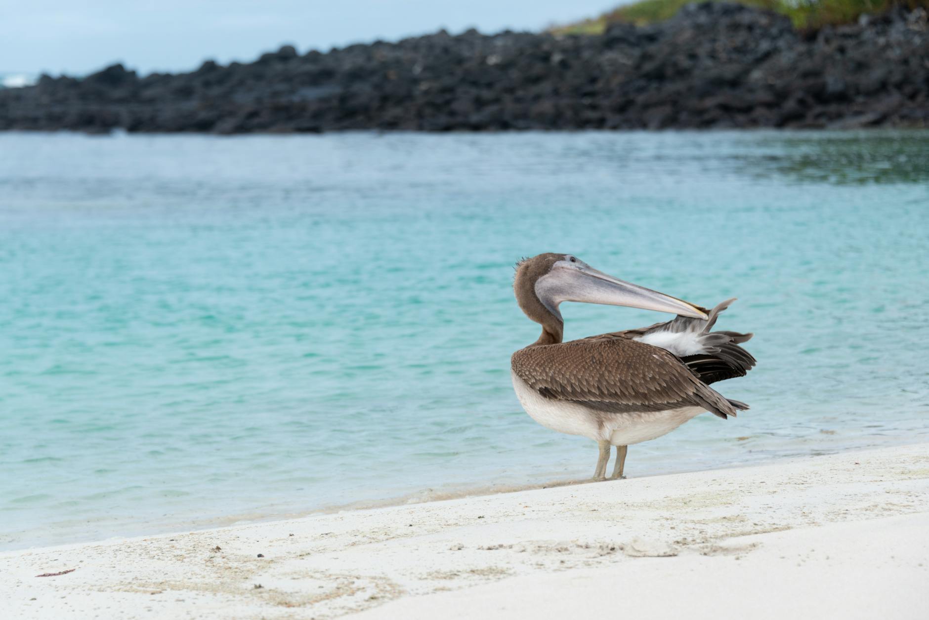 Galapagos Islands natural beauty