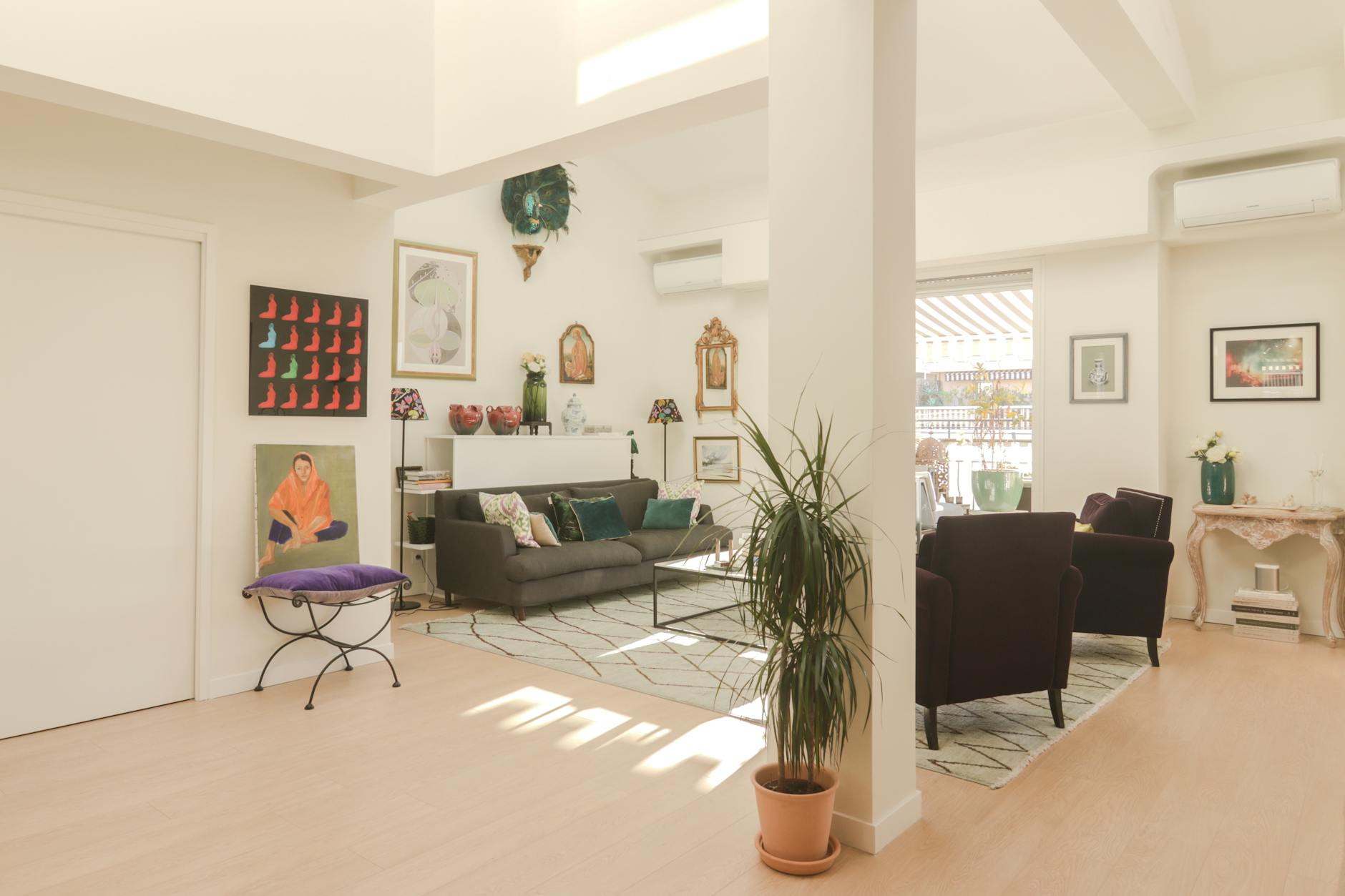 cozy living room with sunlight and plants