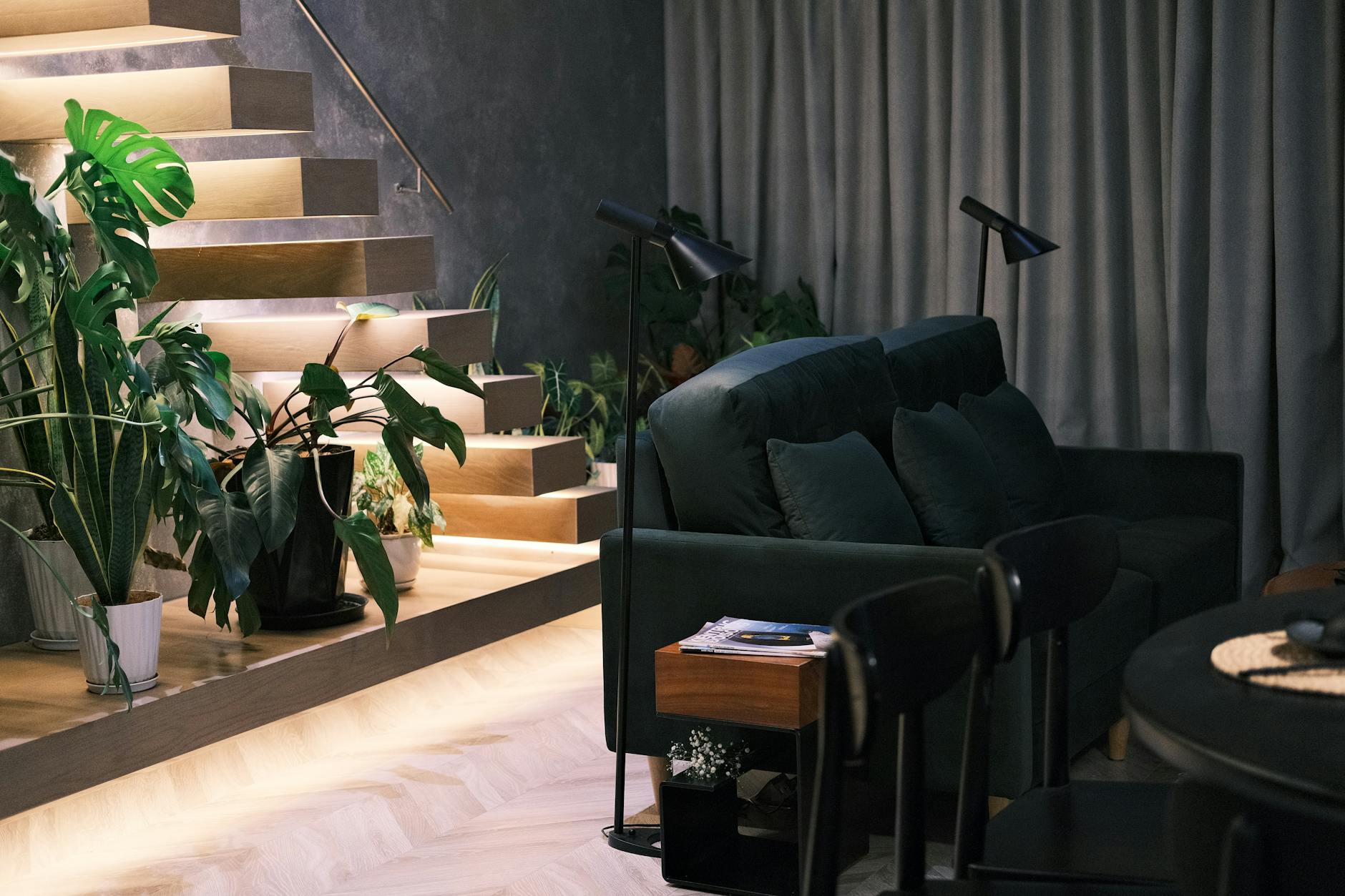 cozy living room with plants and soft lighting