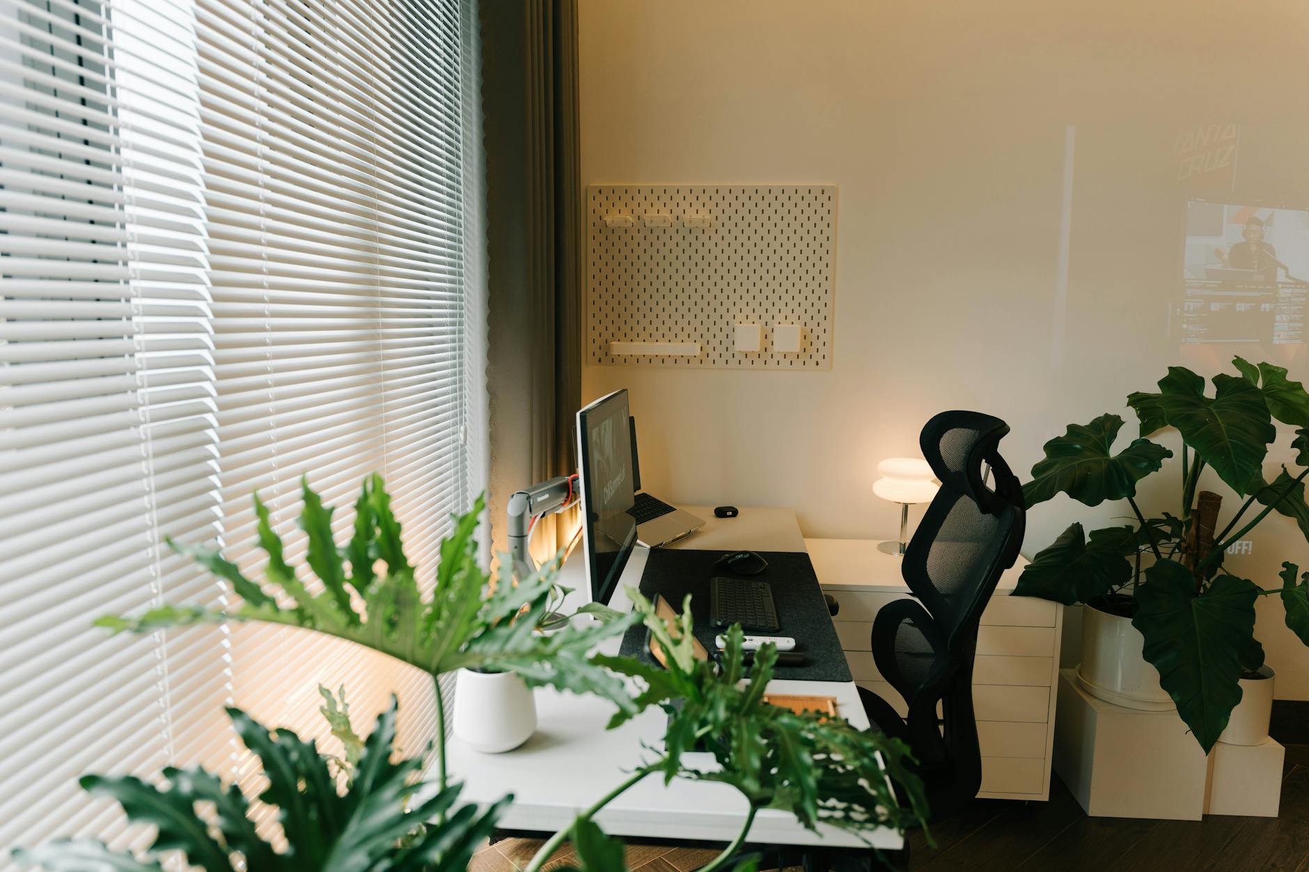 home office with plants and personal touches