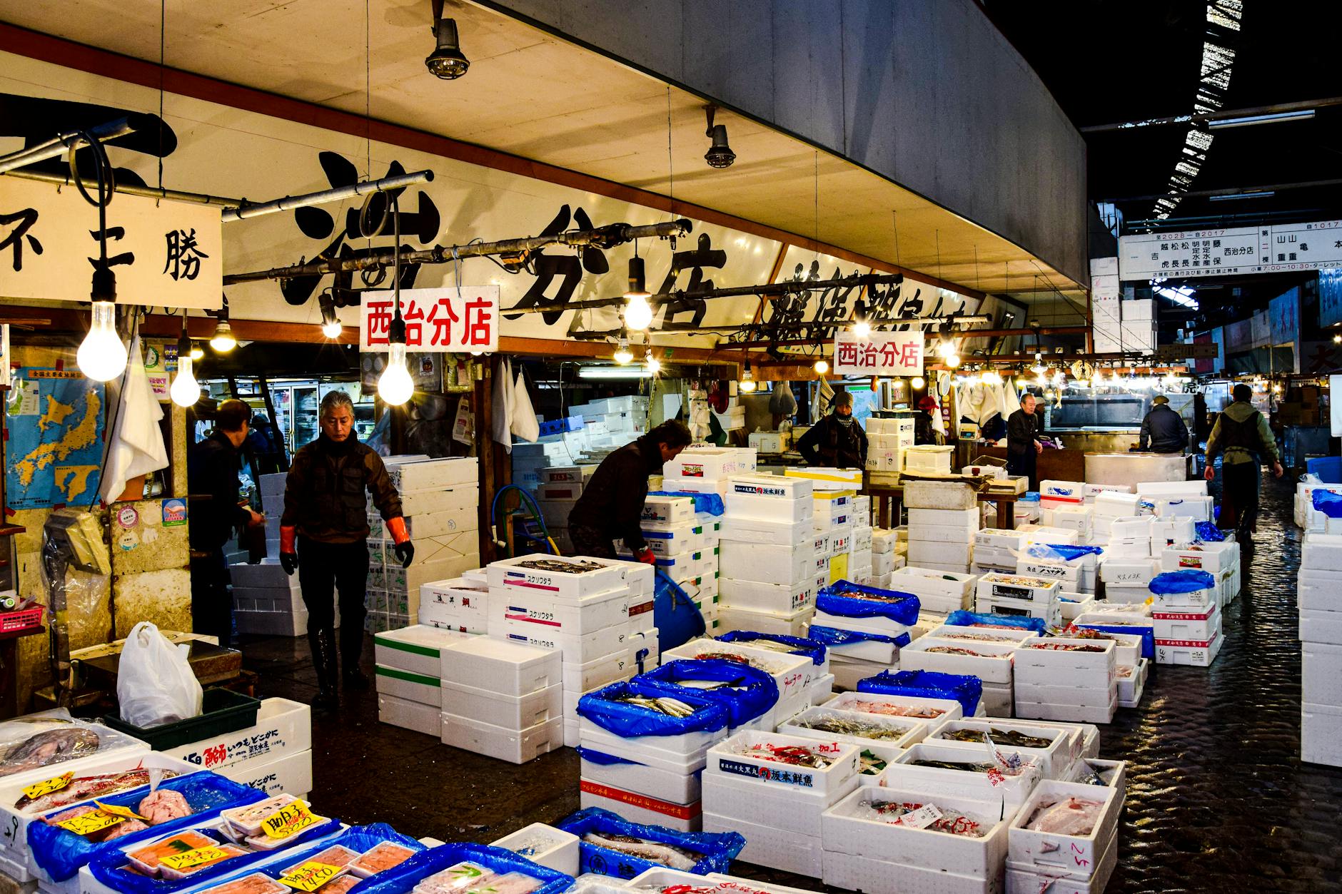 Tokyo sushi market