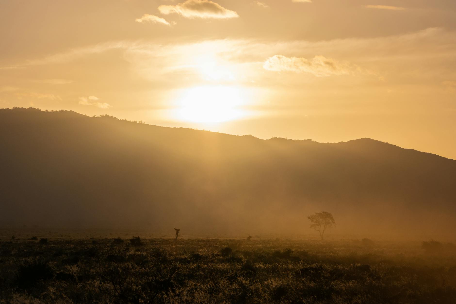 African landscape during sunset